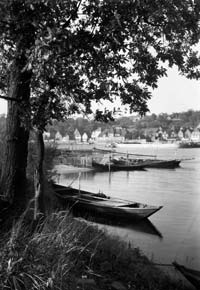 Elbe bei Hohnstorf mit Fischerbooten hinterm Eichbaum