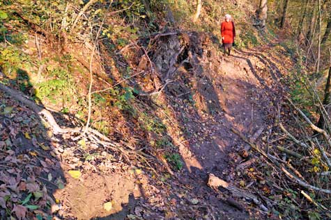 Lauenburg/Schnakenbek, Oberstleutnantweg, Matsch