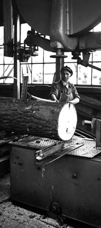 Arbeiter im Sägewerk mit Baumstamm, Zündholzfabrik, Elbstraße 2